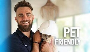 pet-friendly electricians sydney perth melbourne adelaide brisbane
